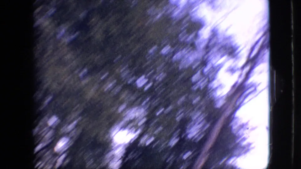 1968 Branson, Missouri 8mm frame showing blurred tree branches and a pale evening or night sky, with heavy black film borders and handheld motion.