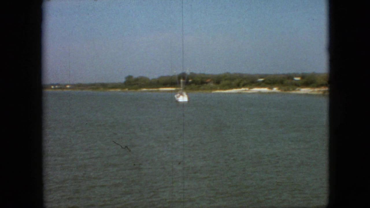 White sailboat on open water with a low tree-lined shore in the distance.