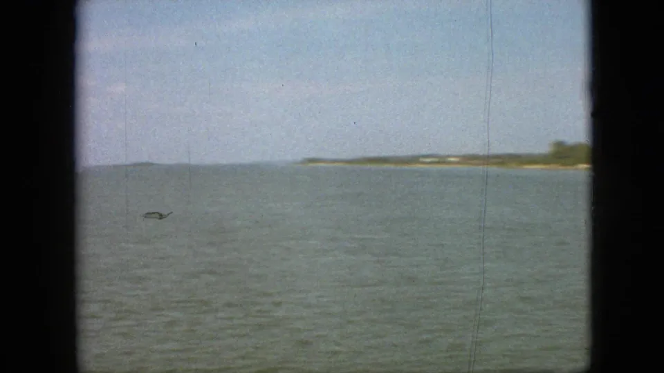 1968 8mm frame from a moving viewpoint near Branson, Missouri, showing open water, a distant shoreline, and dark film gate edges.