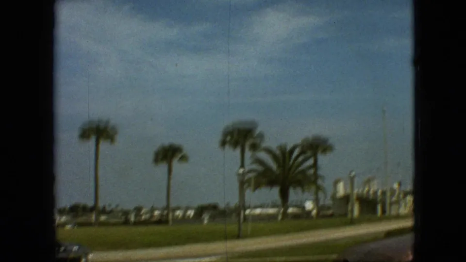 1968 Branson, Missouri home-movie frame showing palm trees, a grassy roadside, distant low buildings, and bright sky seen from a moving vehicle.