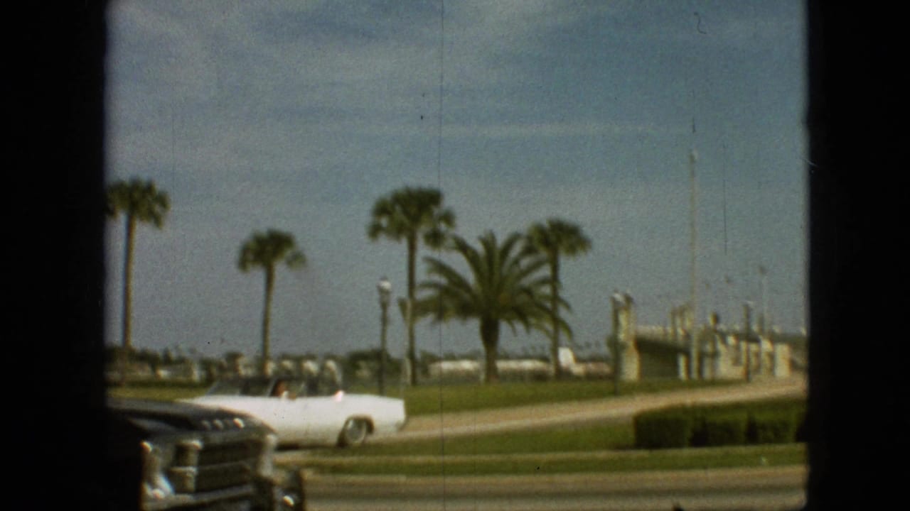 White convertible beside palm trees with roadside structures in the background.