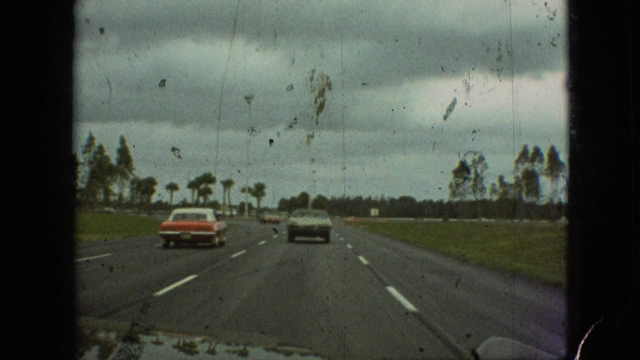 Two cars travel ahead on a wet-looking roadway with grass and trees along the sides.