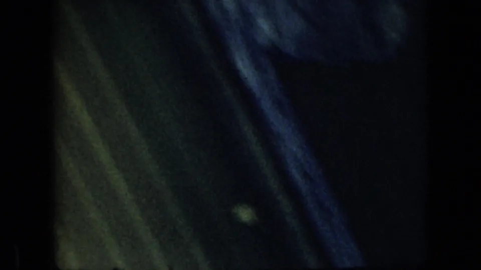 A dark, soft-focus section of the upward pan shows shadowed tree canopy and faint highlights as the 8mm shot ends.