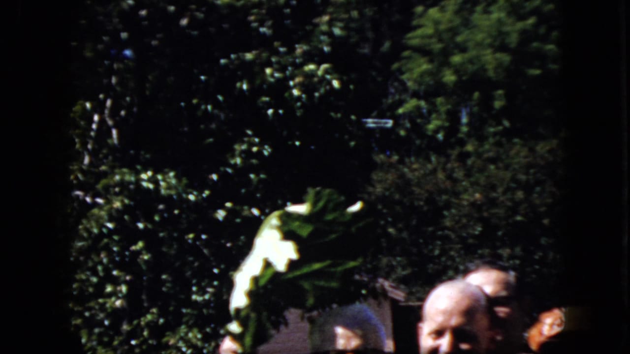 Man and nearby adults partly visible below a raised palm frond outdoors.
