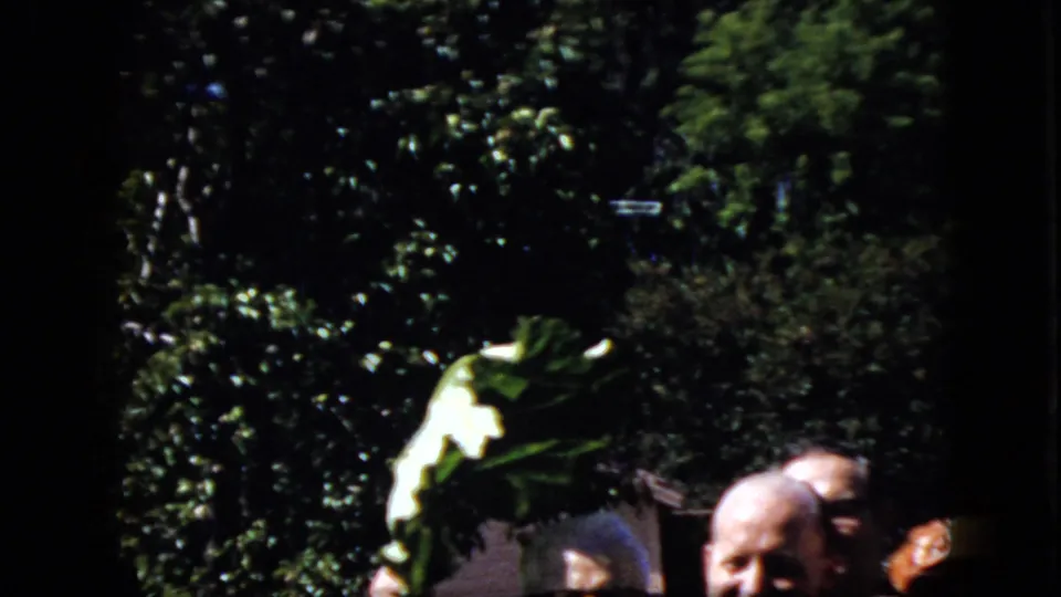 1969 California home-movie frame with a large palm frond lifted above partially cropped adults in a shaded garden setting.