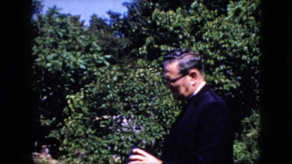 A soft 8mm frame shows the man in a dark suit and glasses in profile, framed by dense foliage and a patch of blue sky.