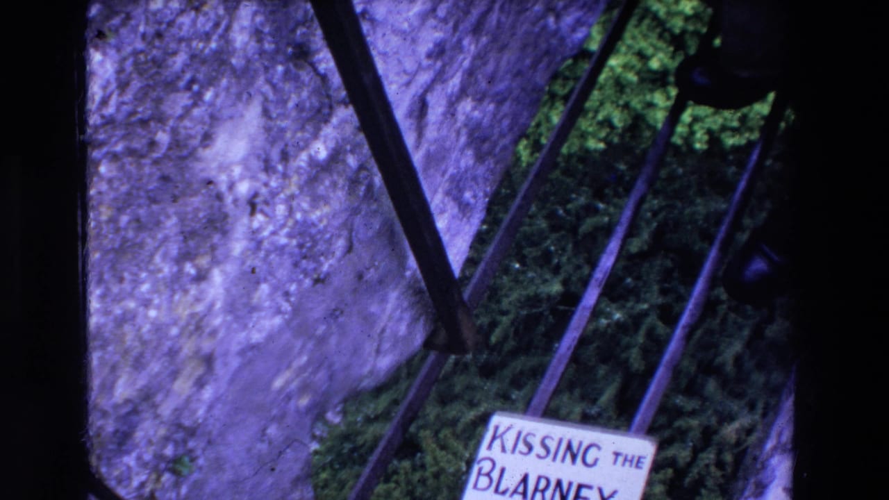 Partial view of the Blarney Stone sign, metal railing, stone surface, foliage, and a dark shoe near the top edge.