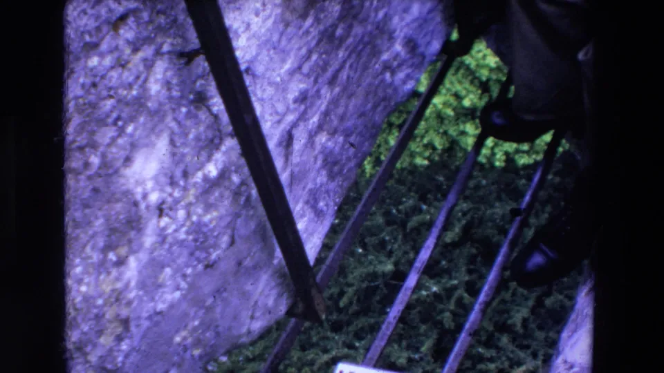 1969 Ireland 8mm frame focused on stonework and railing near the Blarney Stone, with green foliage and a visitor's dark shoes partially visible at frame right.