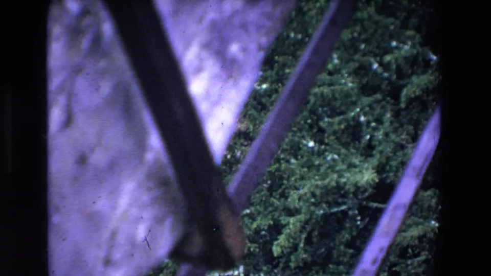 Close 1969 Ireland home-movie view through dark fence bars, showing mossy green ground, stone texture, and soft purple film coloration.