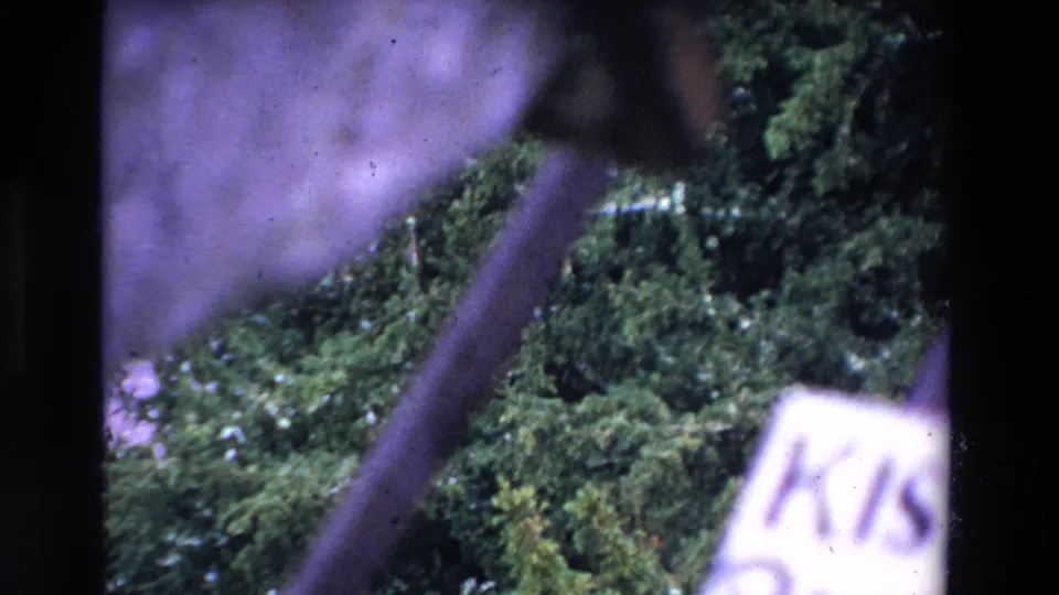 1969 Ireland 8mm frame showing mossy ground and diagonal fence bars, with a partial white sign-like object entering the lower right edge.
