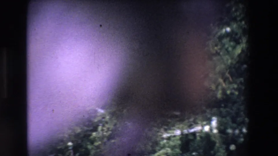 1969 Ireland 8mm frame with a broad purple light flare, dark vertical and diagonal obstructions, and partial evergreen foliage with pale snow-like flecks below.