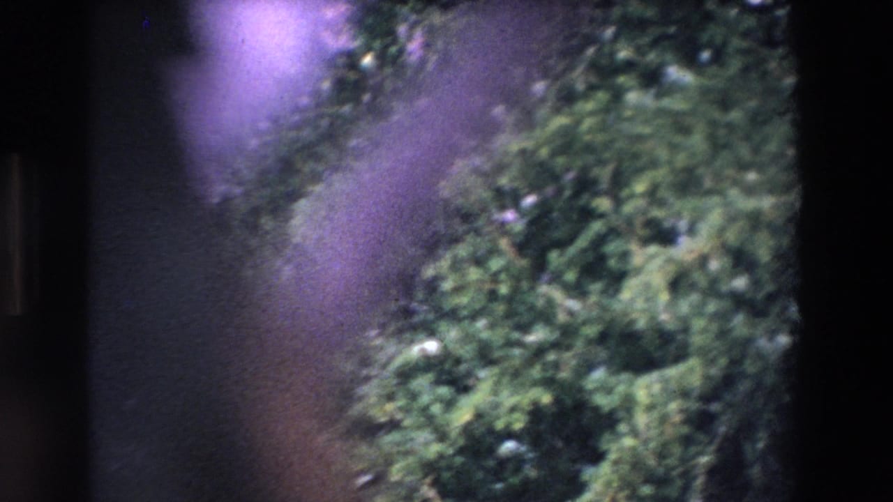 1969 Ireland 8mm frame with soft green foliage at left, dark gate edge, and blurred foreground marks from the physical film scan.