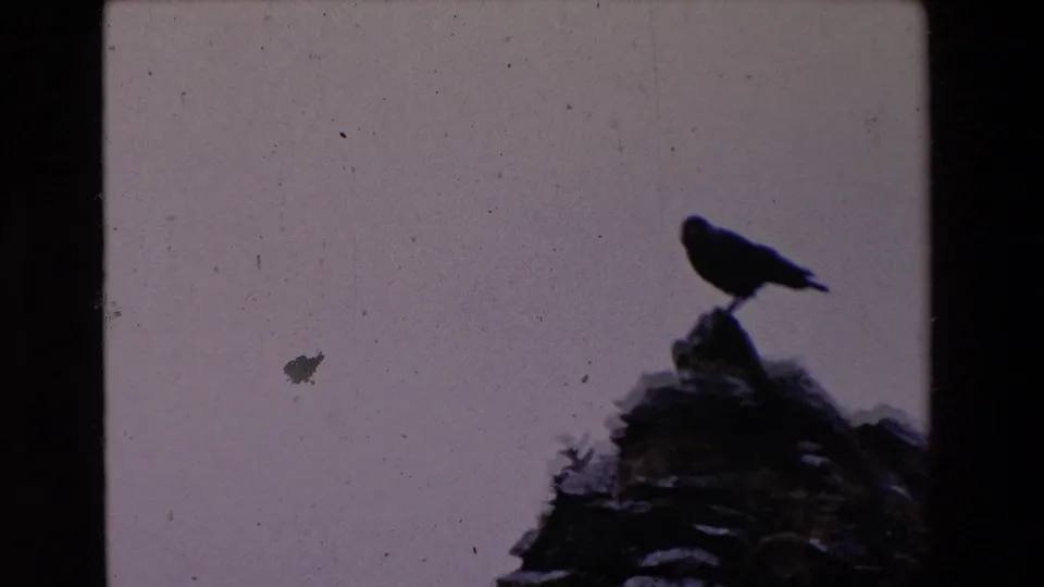 Near the end of the clip, the bird is low on the rocky perch in silhouette, framed by muted sky, film dust, and the soft exposure of 8mm home-movie footage.
