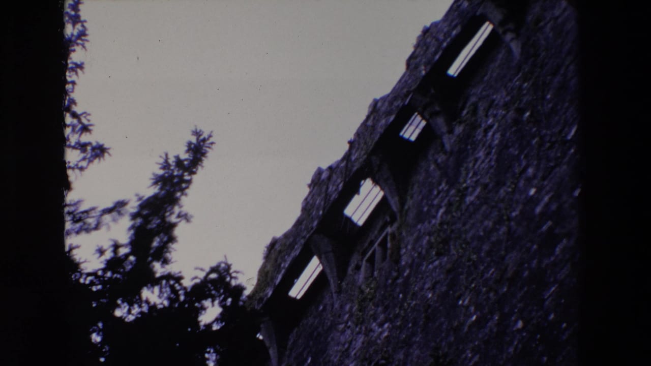 Stone wall and arched windows seen from below with dark tree silhouettes in front.