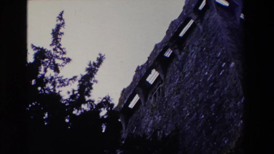 1969 Ireland 8mm frame showing silhouetted evergreens in front of a tall mossy stone wall with small arched window openings near the top.