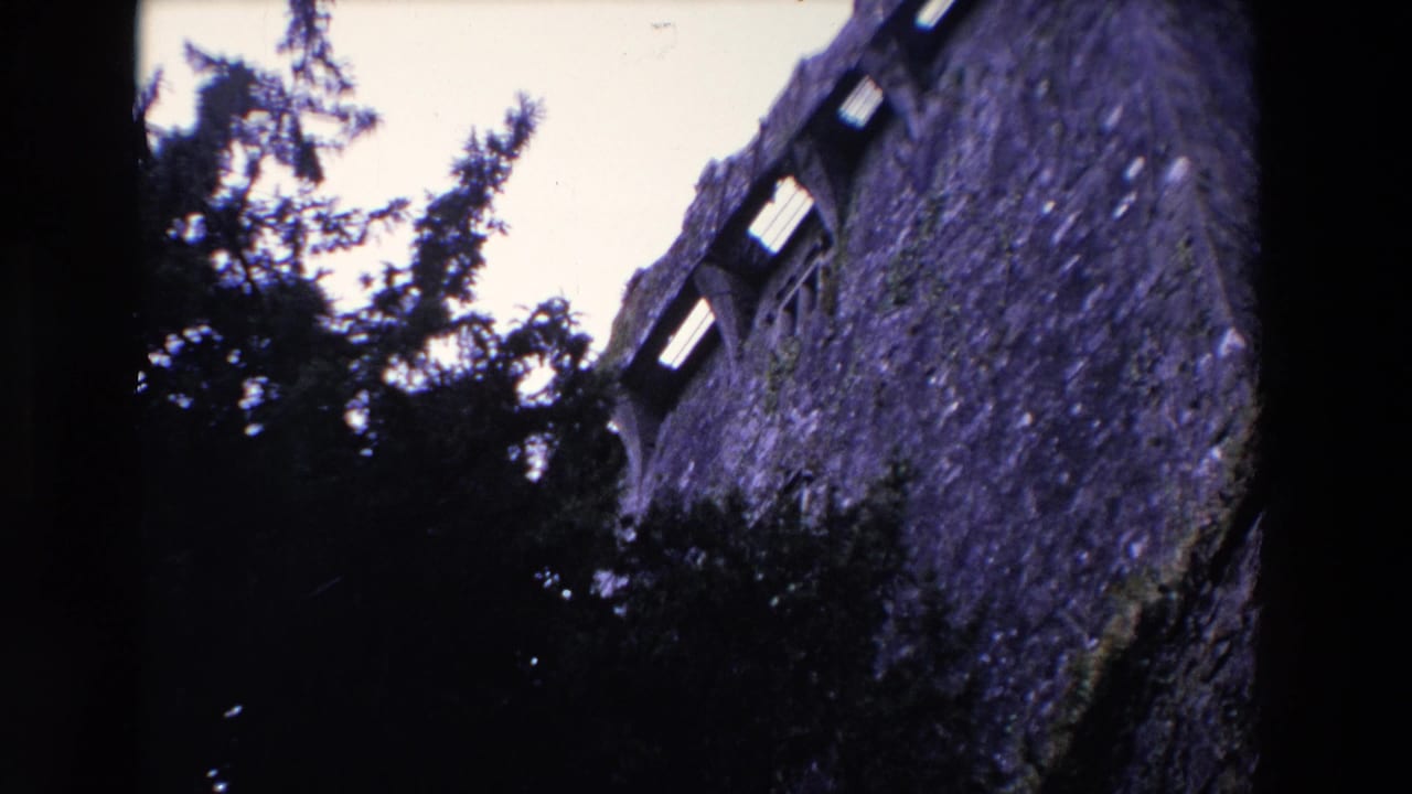 1969 Ireland 8mm frame showing an upward visitor view of a weathered stone wall with arched openings partly obscured by dark evergreen foliage.