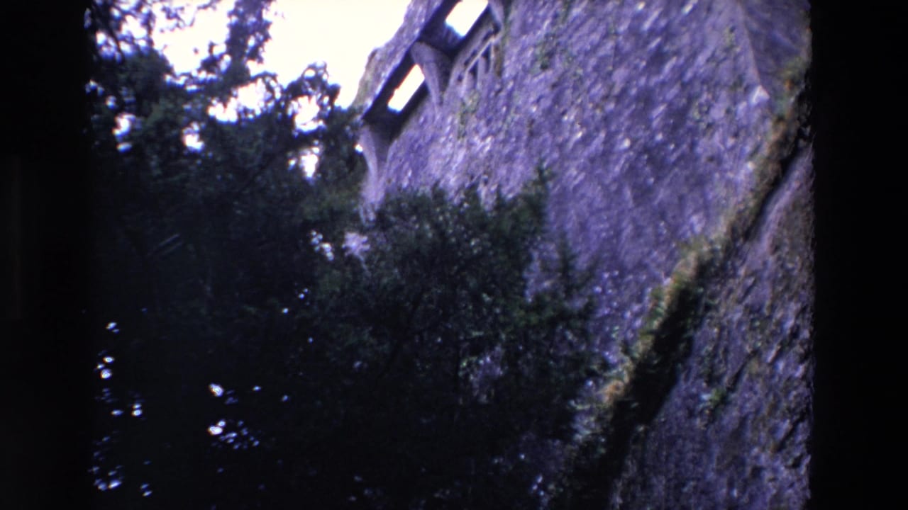 Stone wall rising behind trees with narrow arched openings near the top.