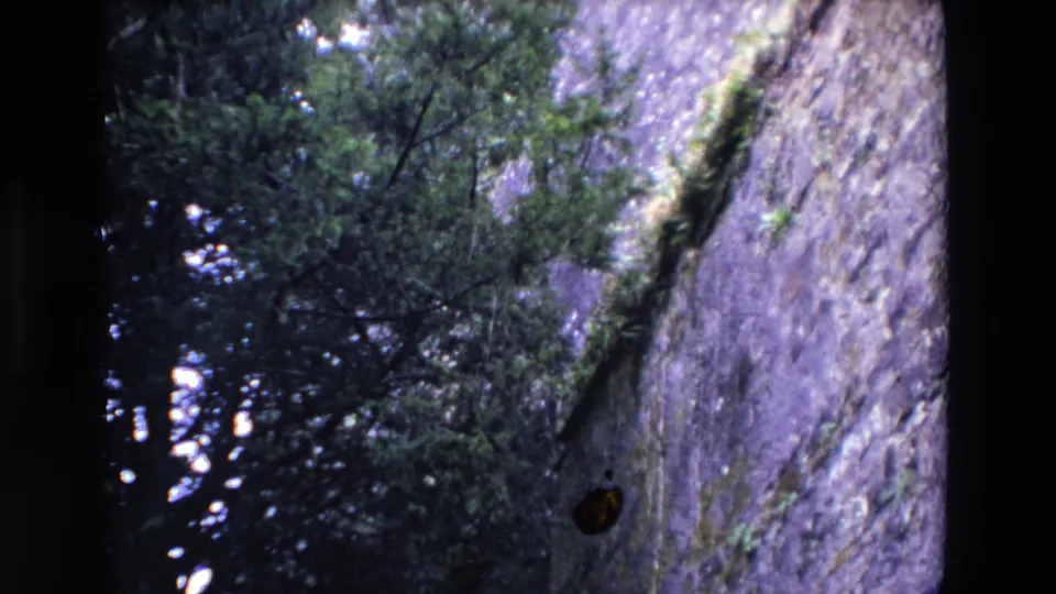 1969 Ireland 8mm frame showing the fortress-like stone wall from below, with dense trees, moss in the masonry, and a small visible film blemish.