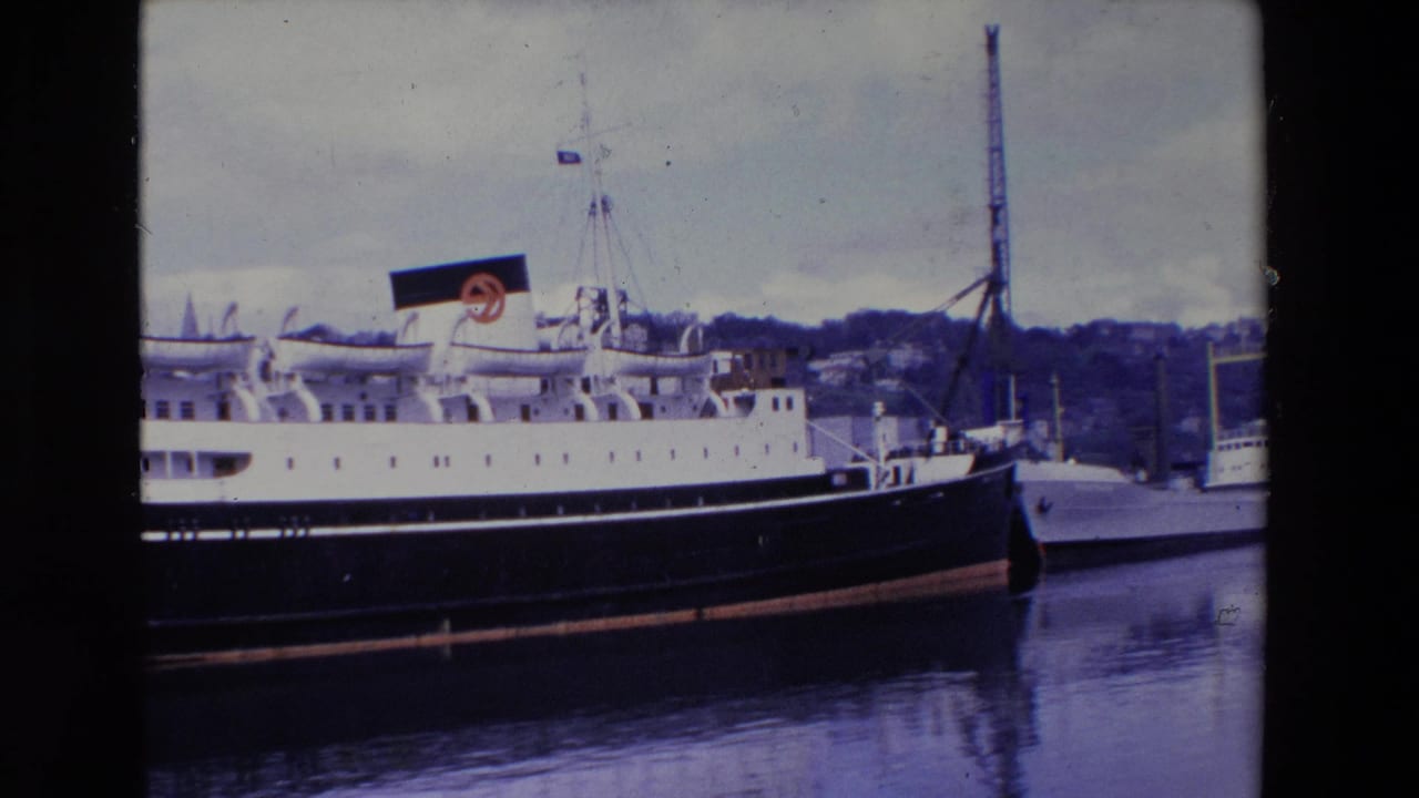 Passenger liner seen broadside at the dock with reflective water and harbor structures nearby.