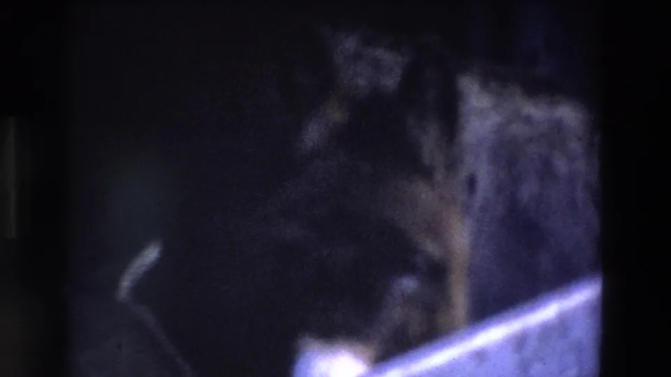 A softer, closer view shows the donkey's head and white muzzle behind the wooden rail, with the stable interior falling into shadow.