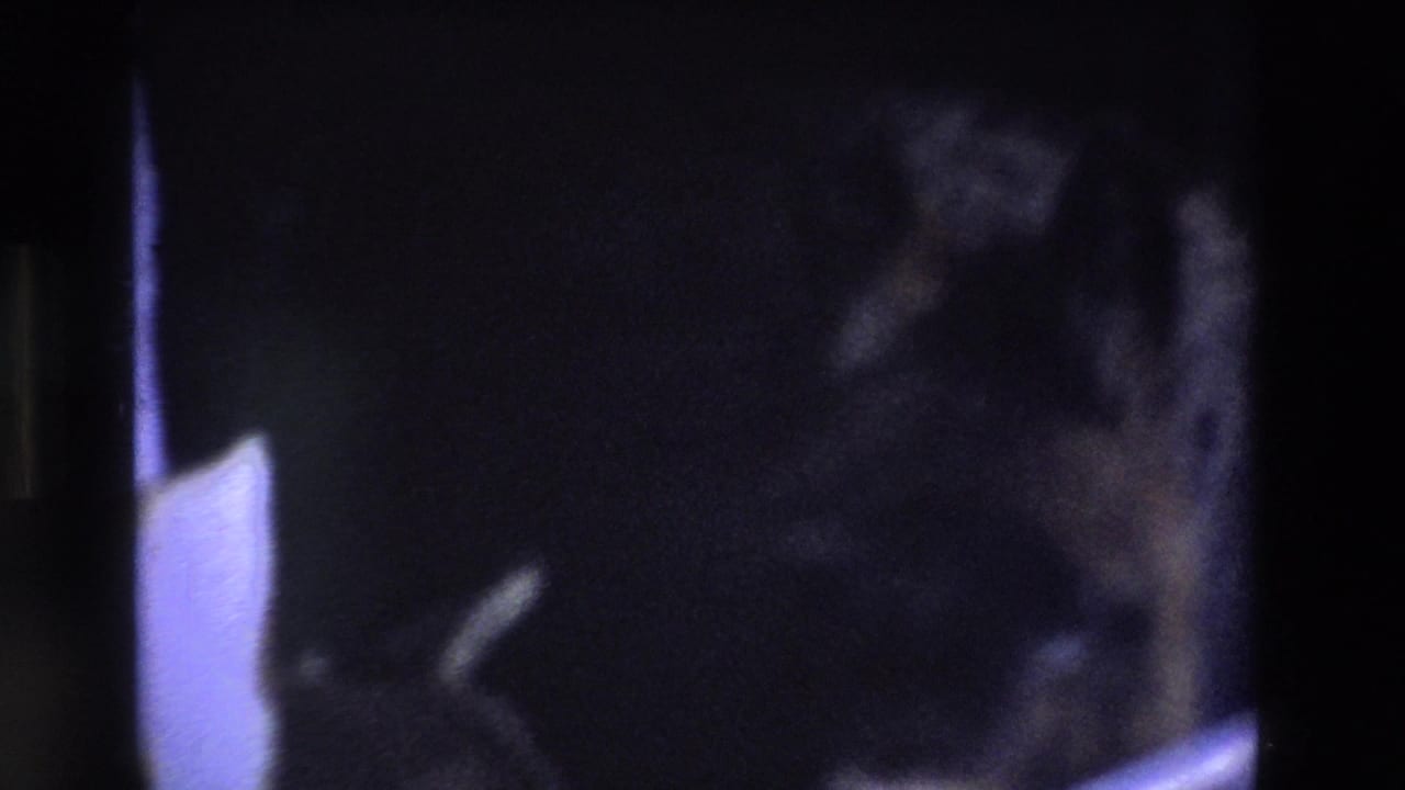 A dark German Shepherd-type dog appears behind vertical cage bars in blue-tinted 1969 Ireland 8mm footage, with the frame heavily shadowed and soft.