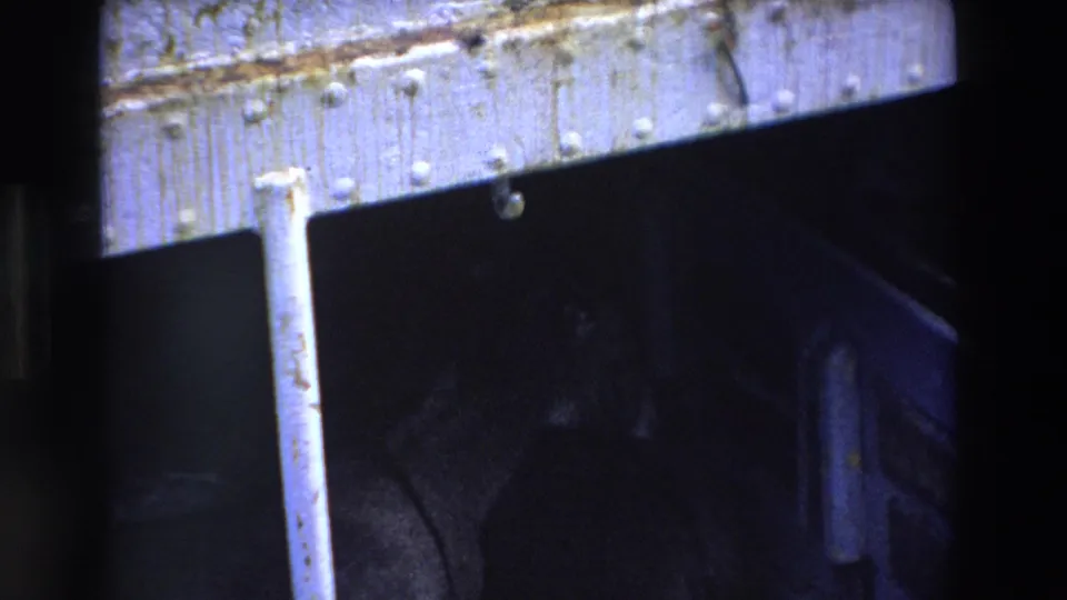 The frame tightens on the underside of a weathered metal structure, with a dog low in the dark area and blue 8mm color cast across the scene.