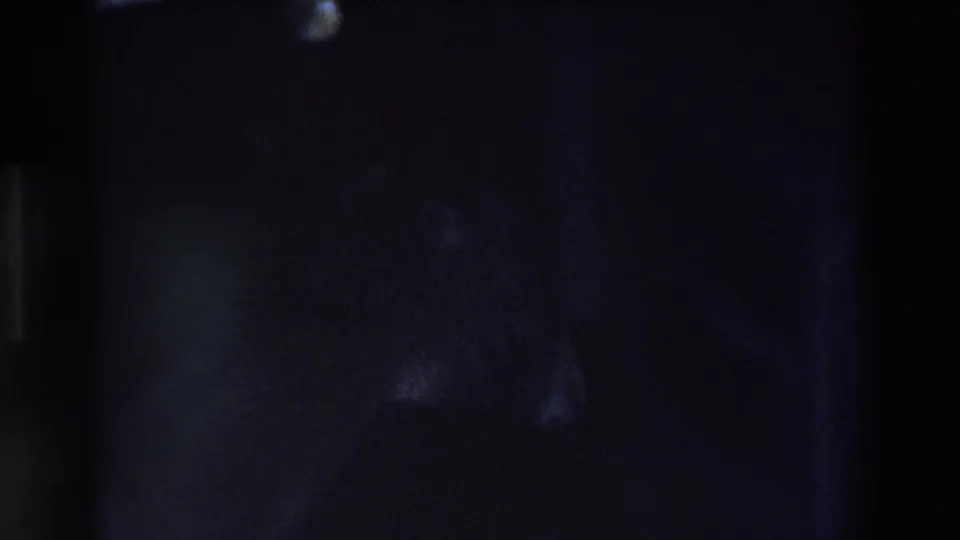 Near the end of the 1969 Ireland clip, the scene falls into heavy shadow with only faint structural outlines and a barely discernible dog shape remaining visible.
