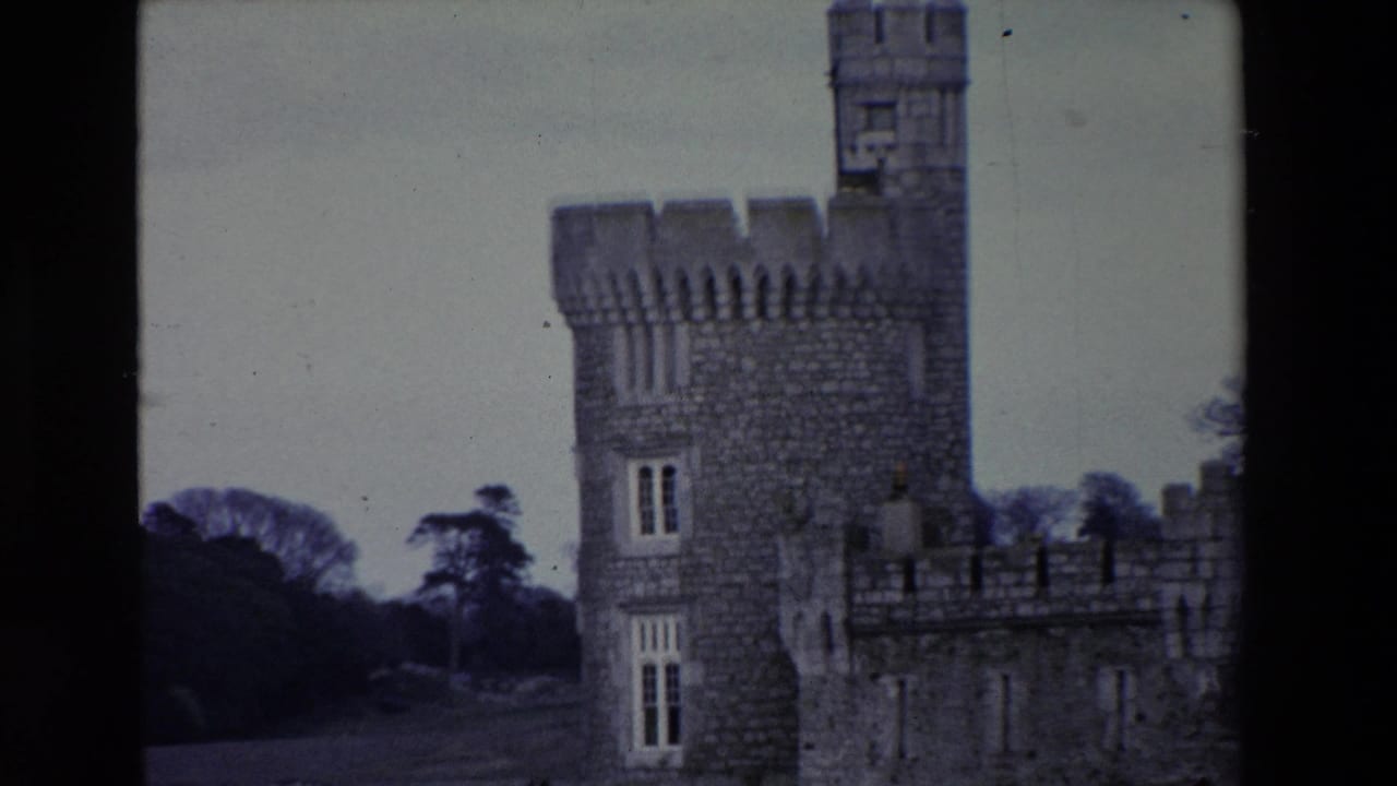 Stone castle tower and adjoining parapet seen beside water and trees.