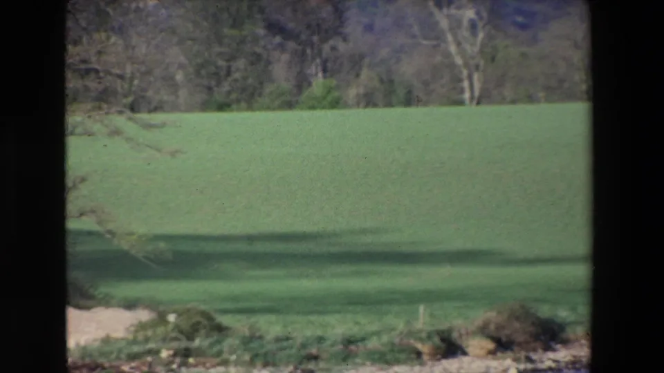 A green lawn and distant trees appear after the archway shot, consistent with the supplied Ireland 1969 home-movie context and suggesting an outdoor grounds cutaway.