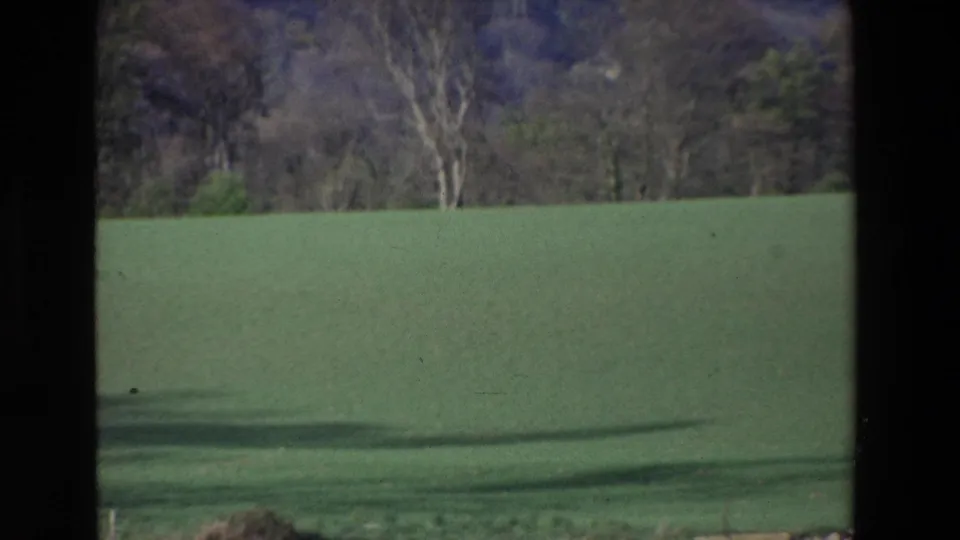 The final frame holds on open green grounds with distant trees and dark grass shadows in the same vintage Ireland home-movie sequence.