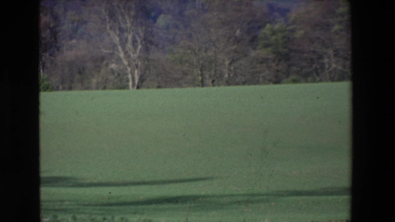 1969 Ireland home-movie frame showing a broad green field and distant treeline, viewed through dark window or vehicle edges.