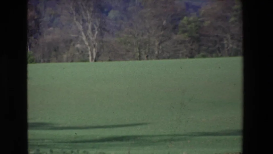 1969 Ireland home-movie frame showing a broad green field and distant treeline, viewed through dark window or vehicle edges.