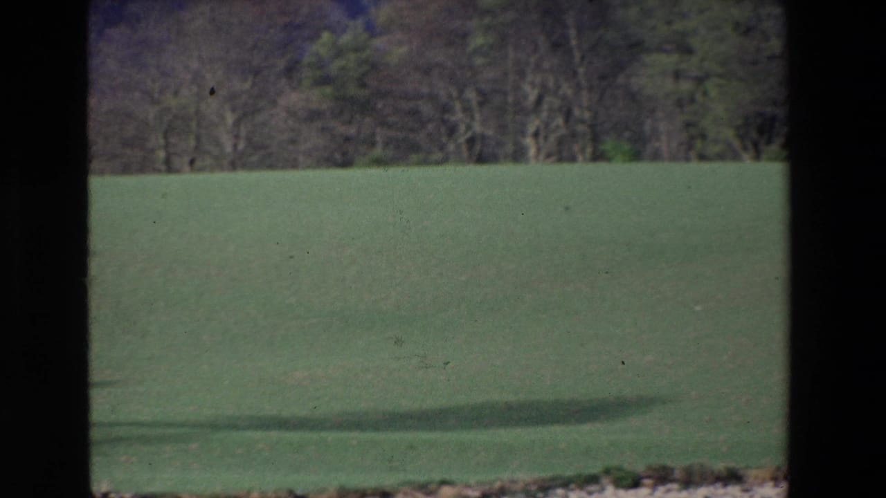 Green field and treeline divided by dark window or film edge.