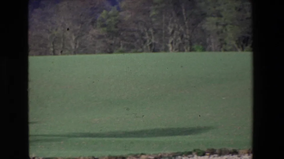 1969 Ireland countryside view with a flat green field, wooded background, and a dark central divider crossing the home-movie frame.