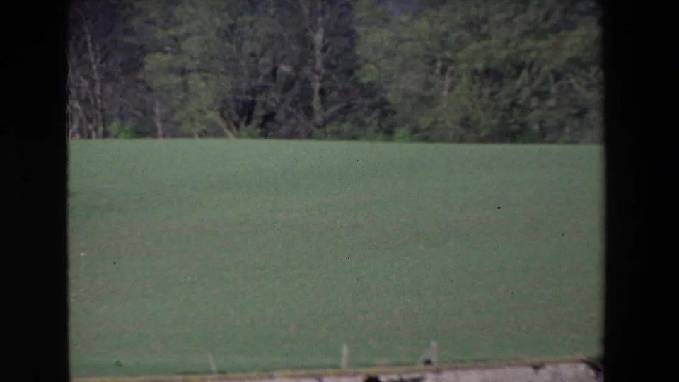 1969 Ireland countryside frame showing an open green field, distant treeline, small fence posts, and dark vertical framing from a window or vehicle.