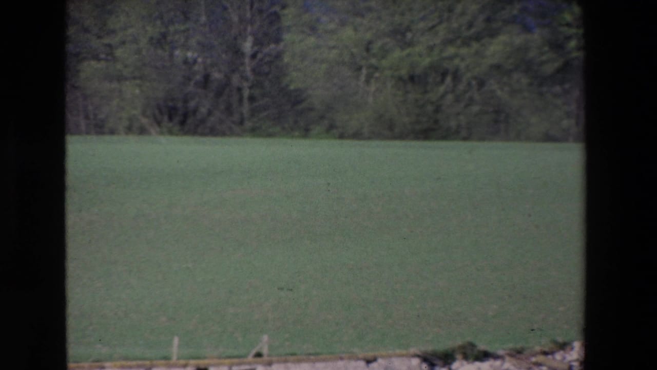 1969 Ireland home-movie frame showing a green field bordered by woodland, viewed from inside or beside a moving boat window.