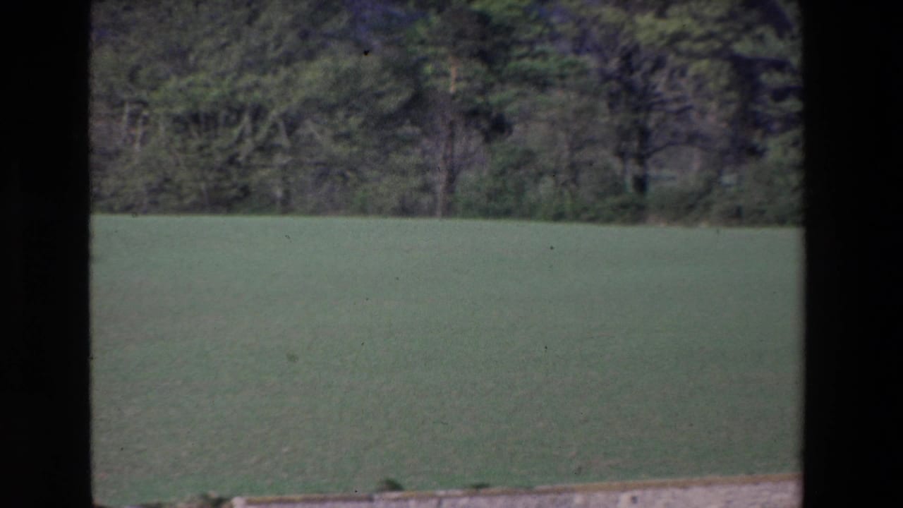 Wide green field with trees beyond, divided by dark vertical window framing.