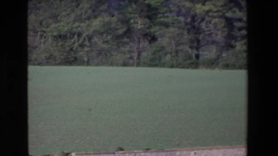 1969 Ireland river-travel view with a broad green field, wooded background, and dark boat-window edge crossing the frame.