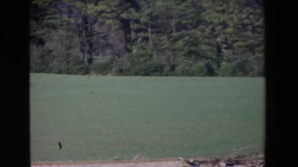 1969 Ireland home-movie still showing a green riverside field, low bank, and trees beyond, with boat-window framing visible.