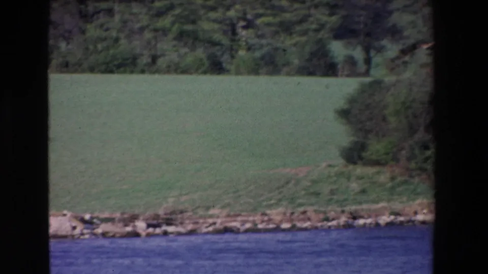 1969 Ireland boat-view frame showing river water, a sloping green bank, shoreline stones, and dense trees in the background.