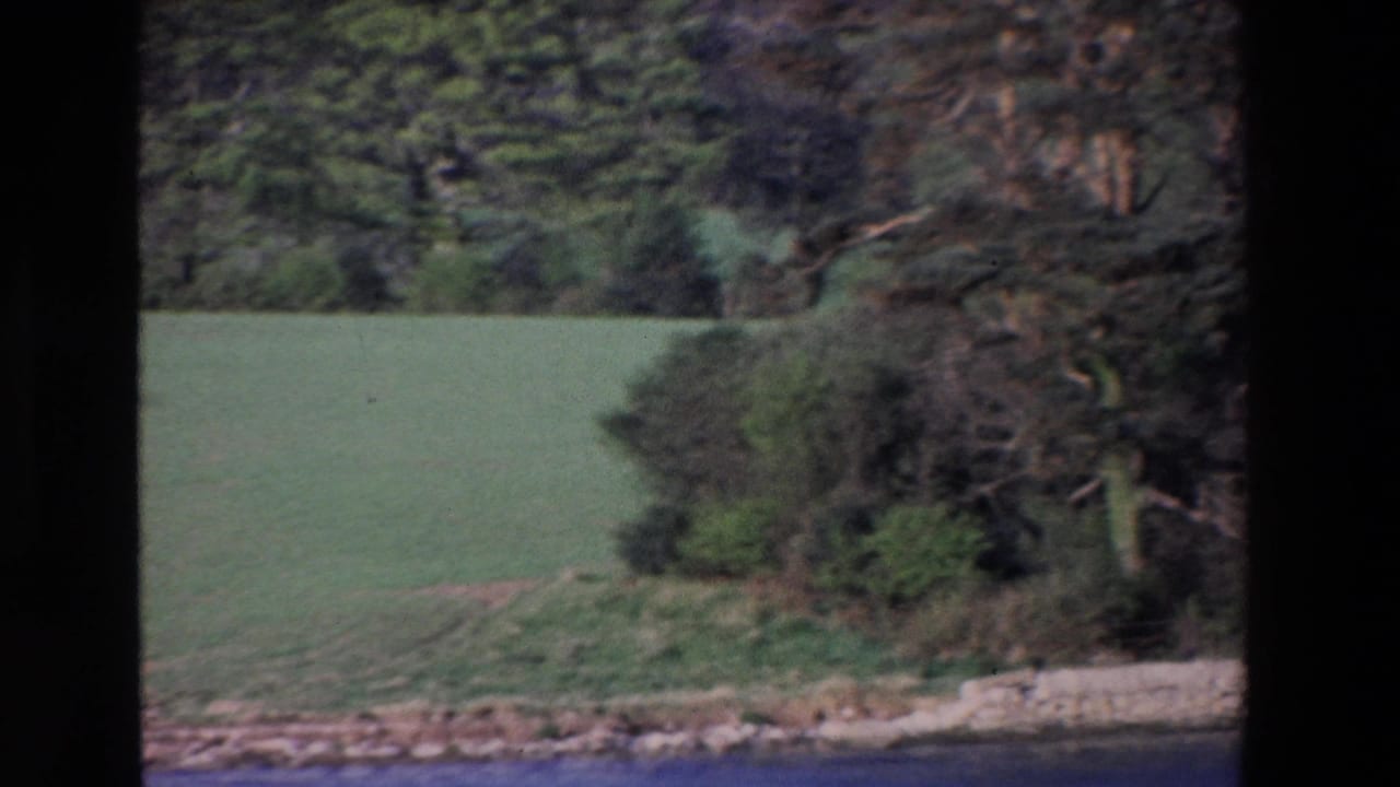 Ireland 1969 8mm frame showing a green field, dense trees and shrubs, and a pale shoreline seen from across water or a moving vantage point.