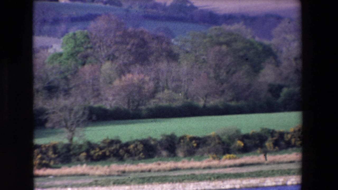 Green field, hedgerow, trees, and distant hills viewed beyond a strip of water or shore.