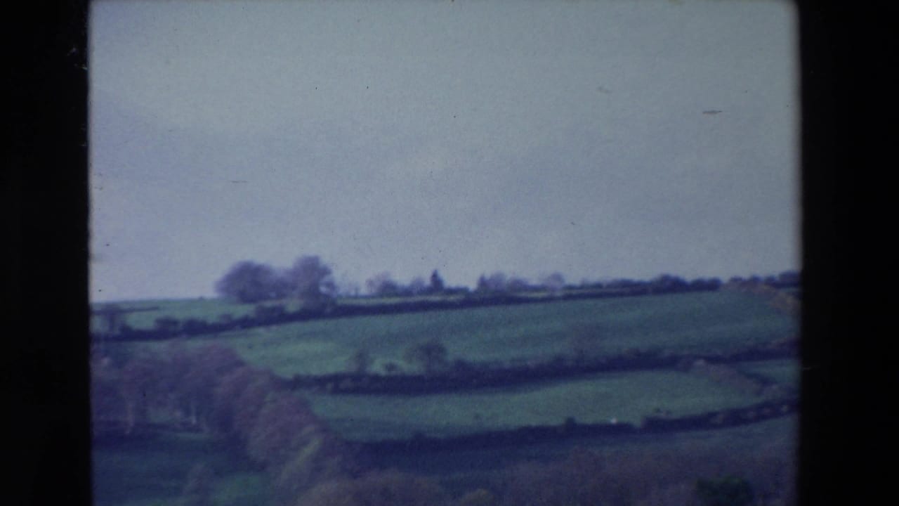 Rolling green fields divided by dark hedges beneath a pale overcast sky.