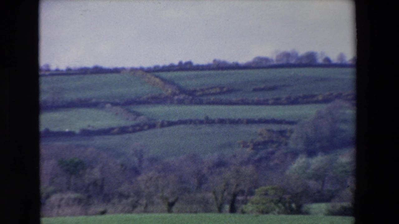 Rural Ireland in 1969, showing patchwork fields, hedgerow lines, scattered trees, and soft haze from the 8mm film image.