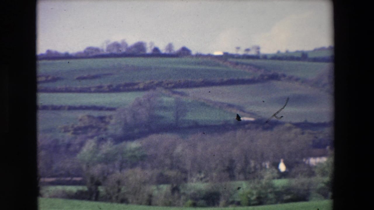 1969 Ireland 8mm frame showing rolling green fields divided by hedgerows or wall lines, with bare trees and small distant rural buildings under overcast light.