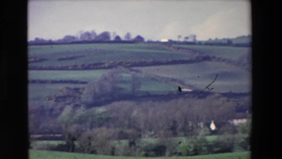 1969 Ireland 8mm frame showing rolling green fields divided by hedgerows or wall lines, with bare trees and small distant rural buildings under overcast light.