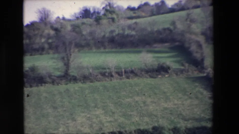 1969 Ireland countryside frame showing a foreground green field, a hedgerow or wall line, leafless trees, and another field rising behind it.