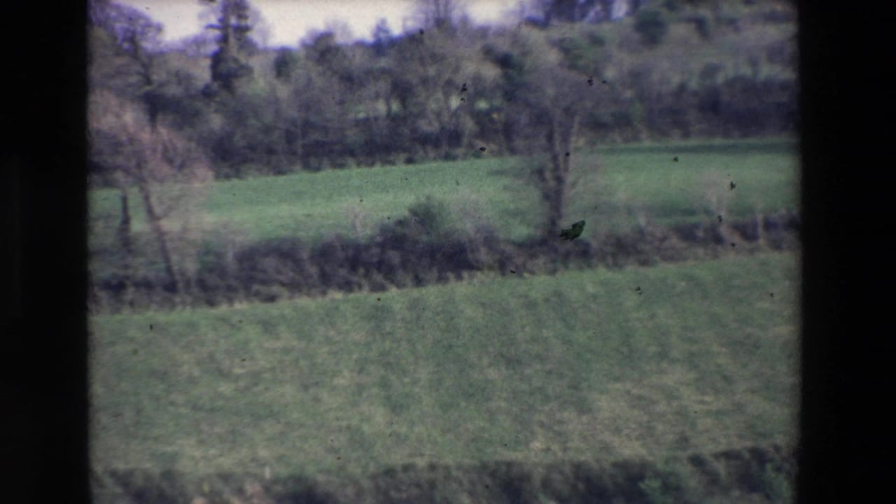 Soft 8mm frame of rural Ireland in 1969 showing green fields, hedgerows, and trees beyond a dark film edge.