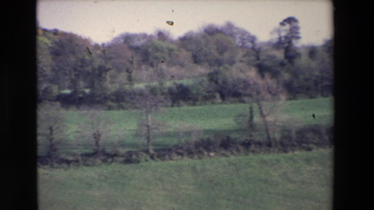 Rural field with hedgerow and distant trees.
