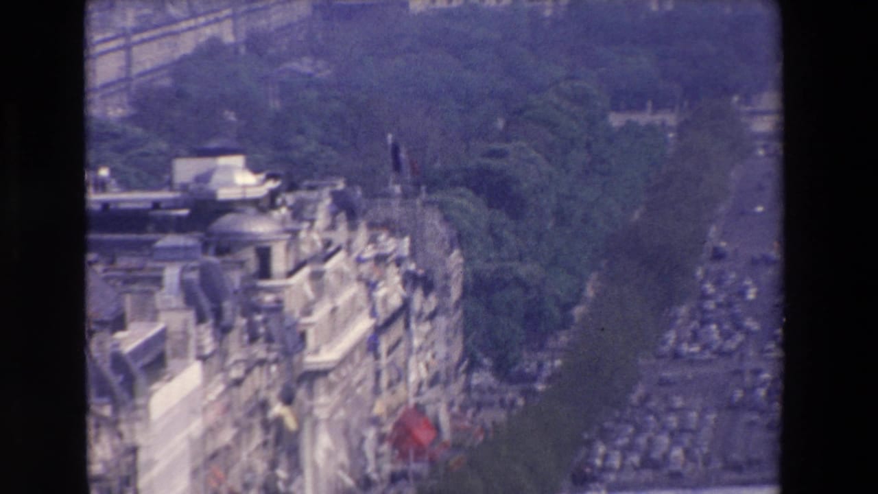 Elevated view of a tree-lined boulevard and ornate buildings with part of a person at the frame edge.